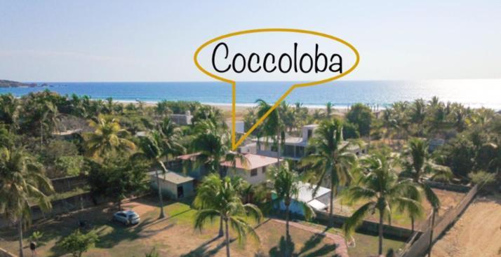 Coccoloba Guest House Puerto Escondido (Oaxaca) Exterior foto